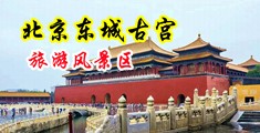 爆操熟女操逼视频网中国北京-东城古宫旅游风景区